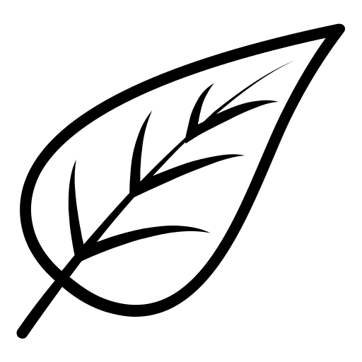 Fast execution icon